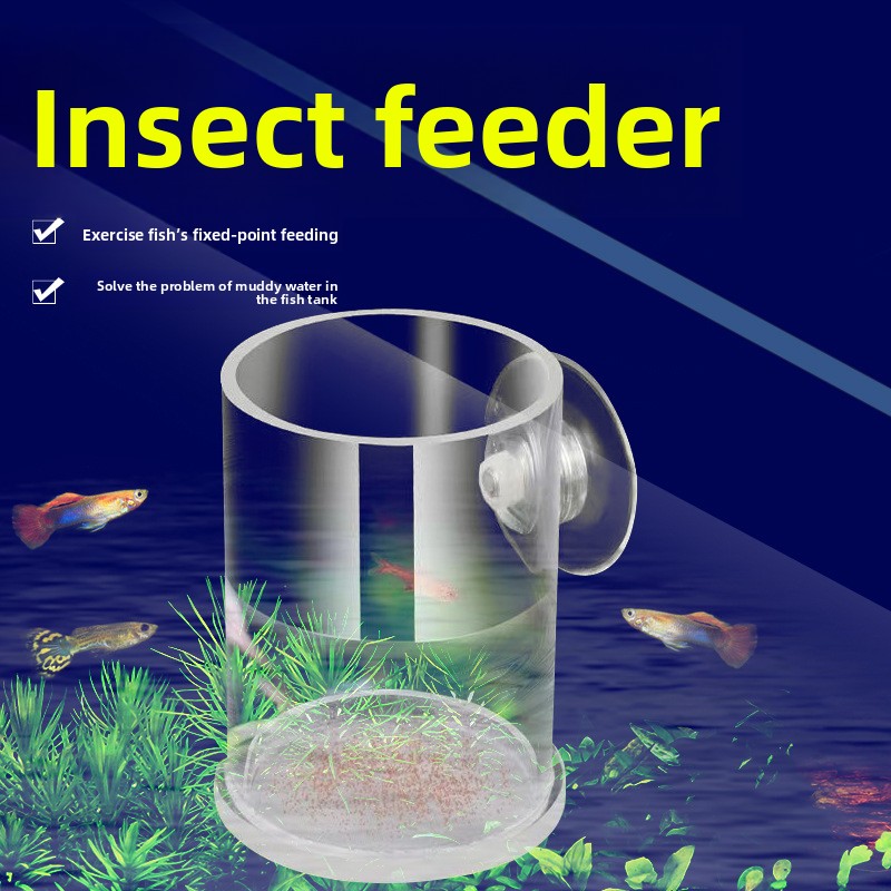 Baby Food Net Feeder - AC-Page Anneau d'alimentation en acrylique pour