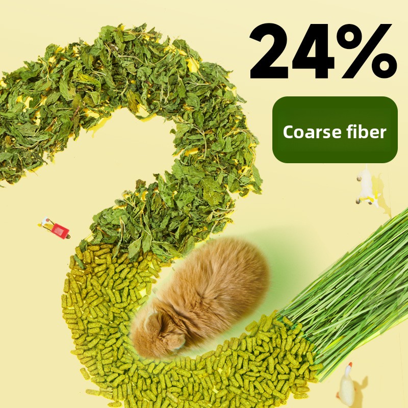 Grenouilles de nourriture pour - Baby Food Age avis et prix